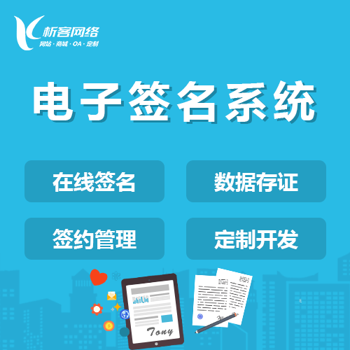 合肥电子签名系统