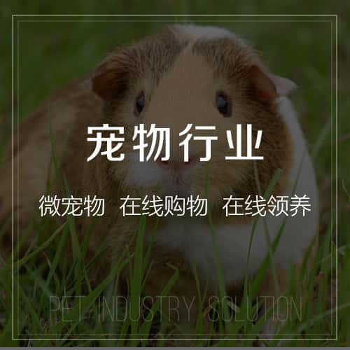 合肥宠物