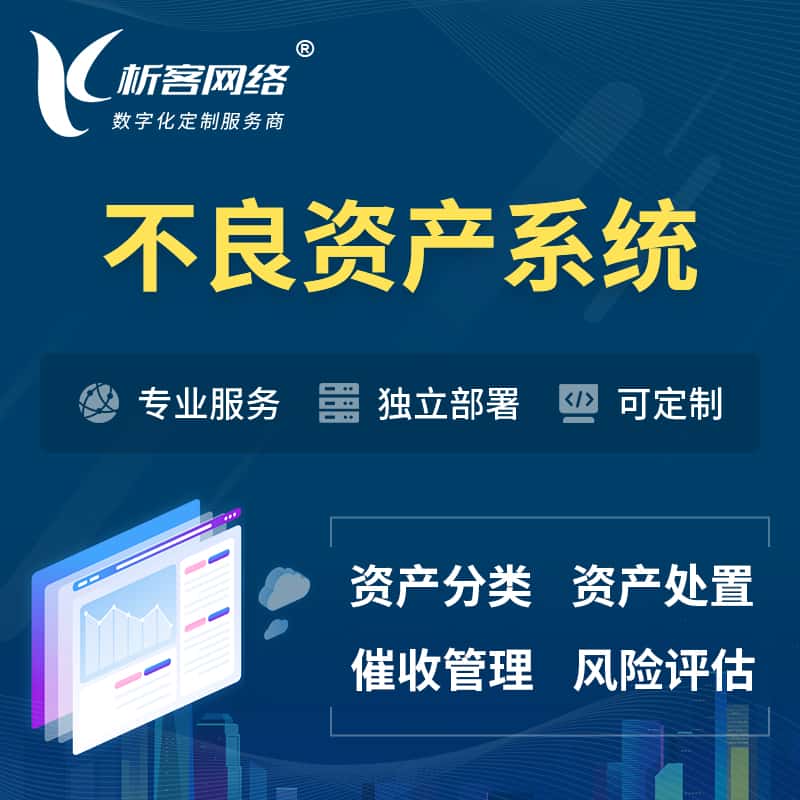 合肥不良资产管理系统