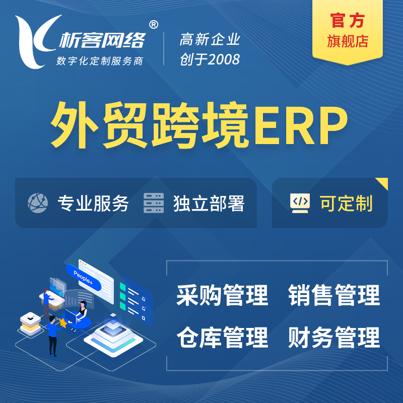 合肥外贸跨境ERP软件生产海外仓ERP管理系统