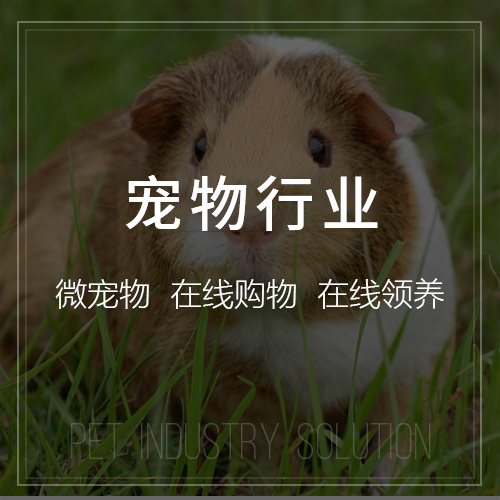 报修系统与合肥智慧城市建设的联动可能性